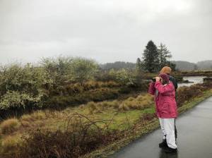 Grays Harbor Audubon Society photos
On Dec. 28 and Jan. 3, Grays Harbor birders participated in Audubons annual Christmas Bird Count.
On Dec. 28 and Jan. 3, Grays Harbor birders participated in Audubons annual Christmas Bird Count. (Grays Harbor Audubon Society photos)