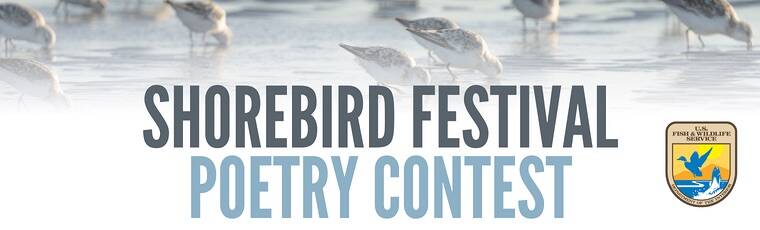 Shorebird Festival Poetry Contest
