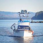 Commercial fisherman Gary Walters maneuvers the F/V Rachel Lynn from the fly bridge as he heads toward the Port of Peninsula to offload Dungeness crab on Saturday, Jan. 17, in Nahcotta.
