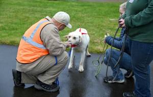 Department of Corrections photos
Volunteers from Timber Tails K9 rescue watch as Benny, a yellow labrador, sniffs the palm of his new incarcerated handler at Stafford Creek Corrections Center.