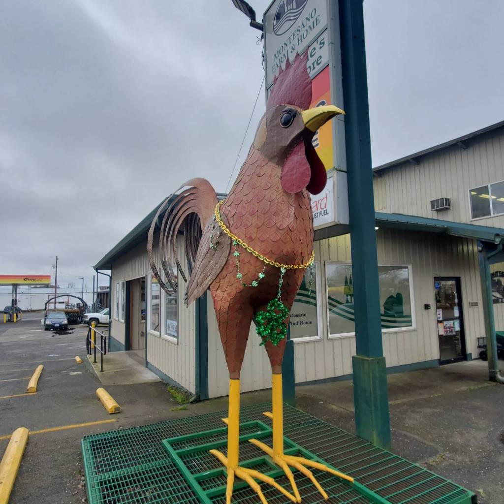 The rooster at Montesano Farm and Home is ready for St. Paddys Day. (Andrea Watts / The Daily World)