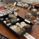 Jerry Knaak / The Daily World
An award-winning display at the Beachcombers and Glass Float Expo.