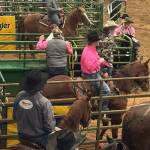 The Daily World photos
Bull Doggers prepare to leave the chute at the Grays Harbor Mounted Posse Indoor Rodeo Sunday in Elma.
