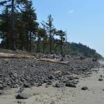 Washington State Department of Ecology
The 1.1 mile long North Cove beach is located along the north entrance to Willapa Bay in Pacific County and was once the fastest eroding ocean beach on the U.S. West Coast.