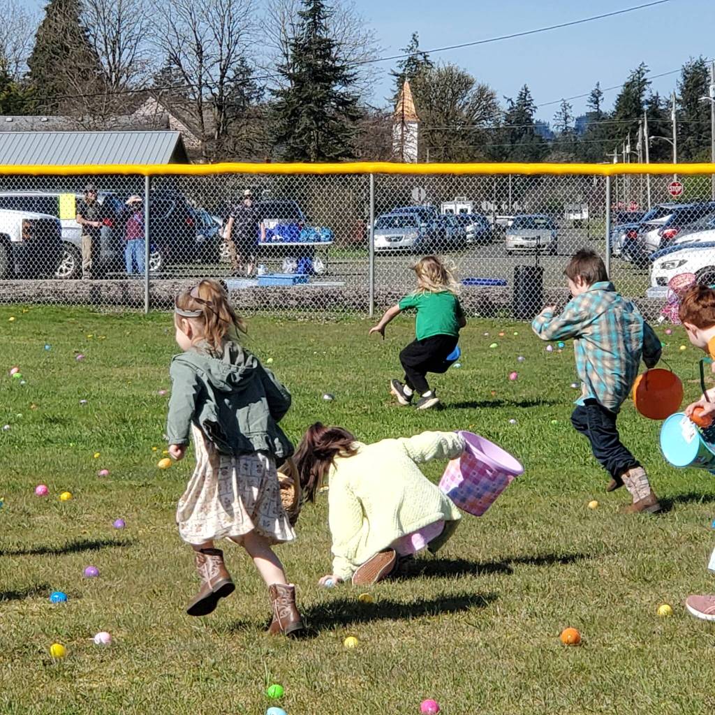 Andrea Watts / The Daily World
For the Oakville Granges 7th Annual Easter Egg Hunt, 10,000 eggs were scattered between the recently upgraded Charlie Harvey field and Josh Gillie fields.