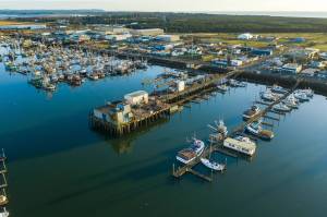 Westport Marina