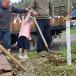 Andrea Watts / The Daily World
During the week of April 20, the city of Hoquiam planted three street trees along Sumner Avenue. On Earth Day, members of the Urban Forestry Board were in attendance for the planting of one of the trees. Assisting Public Works Superintendent Eric Lawrence and public works maintenance workers Parker McCormick and Jeffery Stubb with the planting was Owen Krause, granddaughter of Kurt Estes, an Urban Forestry board member.