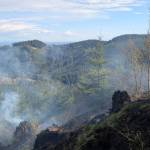 A brush fire started in the Capital State Forest over the weekend. (East Grays Harbor Fire and Rescue photos)