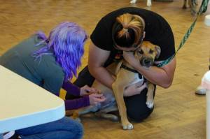 North Beach PAWS
North Beach PAWS will offer a low-cost pet vaccination clinic for dogs and cats on Saturday, May 23.