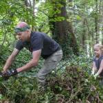 Tony Overman / Olympian file photo
Matt Thompson and his daughter, Claire Thompson, 8, pull invasive English ivy as they volunteer for the Olympia Coalition for Ecosystem Preservation trail clearing work party on the West Bay Trail in west Olympia.