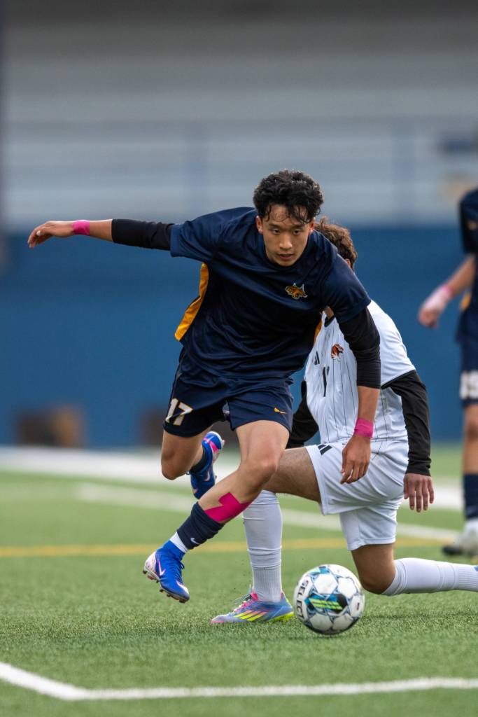 RYAN SPARKS | THE DAILY WORLD Aberdeens Toni Wang moves through the Centralia defense during the Bobcats 6-1 win on Tuesday at Stewart Field in Aberdeen.