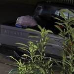 Police are on the lookout for this Nissan pickup.