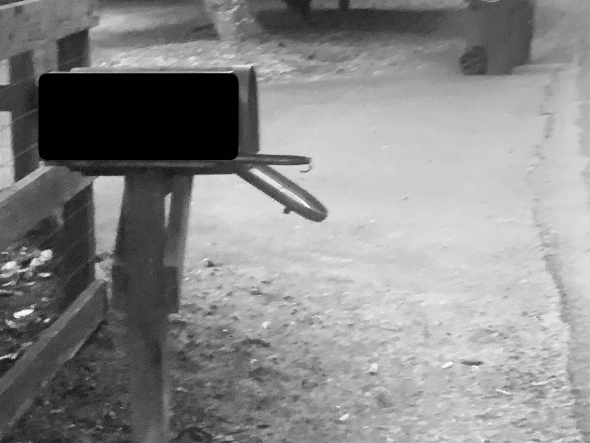 Vandals strike Montesano early morning Friday | The Daily World