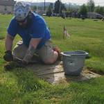 Andrea Watts / The Daily World
Ryan Berg, post commander for McCleary VFW Post 5564, works to remove grass that has overgrown a headstone belonging to a veteran in the city of McCleary cemetery.