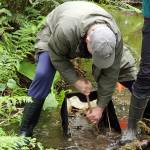 Andrea Watts / The Daily World
To collect the samples, volunteers vigorously stirred the creek bed and the sediment was collected using a surber sampler.