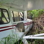 The pilot made a safe landing, but plowed into bushes,