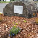 A rock in the garden bears a plaque with the inscription In gratitude to Alice Knight, a visionary community leader who led a grassroots effort to raise money for the Elma Library building constructed in 1994.