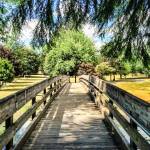 Discover Lewis County photos
The Willapa Hills Trail offers a tranquil jaunt through Pacific and Lewis counties.