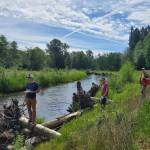 Andrea Watts / The Daily World
The second stop was further along the Cloquallum Creek at an ongoing restoration project. Rock and root wads were placed upon the bank to reduce erosion, and native plants were planted further up the bank.