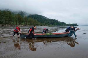 Amiran White / High Country News
During low tide on the Columbia River, Chinook tribal members push a traditional style canoe called Skakwal (which means Lamprey Eel in Chinuk wawa) toward the sea during the annual First Salmon Ceremony.