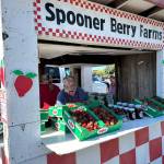 Karen Barkstrom / The Daily World
The Spooner Berry stand has now opened up its shop in the parking lot next to Tractor Supply.