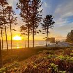 Simon Arnold / WDFW
Highway 101 leads to far more than just fishing. Ruby Beach on the western edge of the Olympic Penisula is just one of many stunning landscapes a drive down this scenic route will take you to.