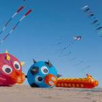 Westport / Grayland Chamber
Grayland hosts the second largest kite festival in Washington.