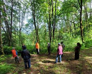 Wild Thyme Tree Farm is hosting a tour on Aug. 9 to celebrate their being selected as 2026 Washington Tree Farmer of the Year. Come and see what Grays Harbor College students learn about when they visited the tree farm for their Modern Land Management course, such as hardwood conversion, alternative management plan and value-added lumber production. 
Andrea Watts / The Daily World