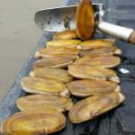WDFW
WDFW will have less staff capacity to survey razor clams and support marine toxin analysis, which could result in delayed season opening and reduced opening days.