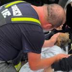 Hoquiam Fire Department
A firefighter gives oxygen to a puppy after being rescued.