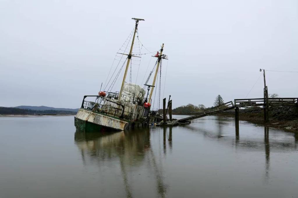 Molly Solomon / OPB
A former Antarctic research vessel, the Hero, sank in the Palix River near Willapa Bay in 2017.
