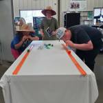 Andrea Watts / The Daily World
Everlyn and Mark Gifford compete in the 4-H Stem activity pompom race.