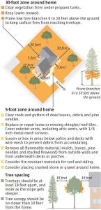 Mark Nowlin / The Seattle Times 
Preparing your home for wildfire danger