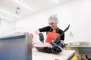 Luke Whittaker photos / Chinook Observer
Baltija Scherl cuts an albacore tuna last week at Tre-Fin Seafood Market in Ilwaco. Commercial tuna landings and participation are down dramatically this season in Washington.