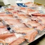 Packages of tuna belly, pictured at Tre-Fin Seafood Market in Ilwaco last week. Tuna belly, also known as ventesca in canned packs or toro in sushi, is highly sought after.
